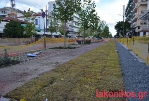 Μπήκε γκαζόν στην αρένα της Παλαιολόγου