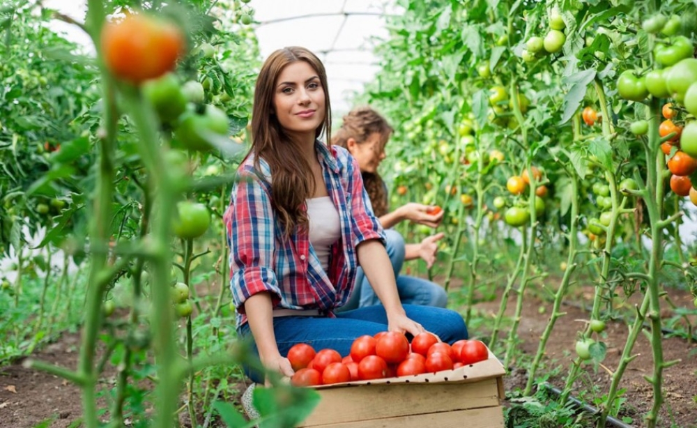 &laquo;&Kappa;&lambda;&epsilon;&iota;&delta;ί&raquo; &gamma;&iota;&alpha; &tau;&eta;&nu; &alpha;&nu;ά&pi;&tau;&upsilon;&xi;&eta; &tau;&eta;&sigmaf; &upsilon;&pi;&alpha;ί&theta;&rho;&omicron;&upsilon; &kappa;&alpha;&iota; &tau;&eta;&sigmaf; &alpha;&gamma;&rho;&omicron;&tau;&iota;&kappa;ή&sigmaf; &omicron;&iota;&kappa;&omicron;&nu;&omicron;&mu;ί&alpha;&sigmaf; &eta; &Epsilon;&lambda;&lambda;&eta;&nu;ί&delta;&alpha; &alpha;&gamma;&rho;ό&tau;&iota;&sigma;&sigma;&alpha;