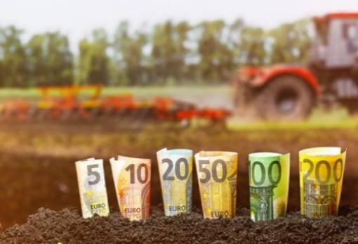 Εκκαθαριστική πληρωμή ετοιμάζει ο ΕΛΓΑ