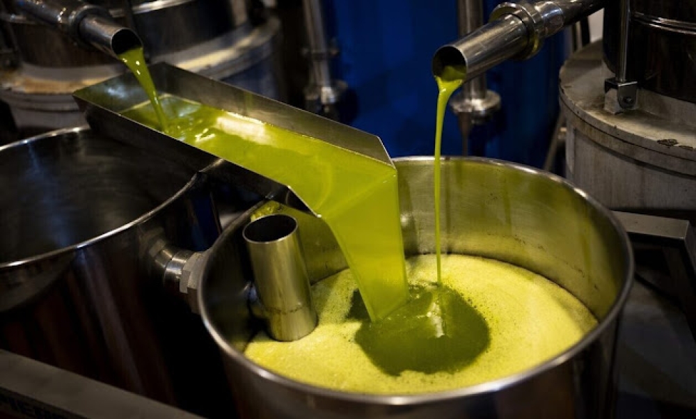 &Epsilon;&kappa;&tau;&iota;&mu;ή&sigma;&epsilon;&iota;&sigmaf; &gamma;&iota;&alpha; &pi;&alpha;&gamma;&kappa;ό&sigma;&mu;&iota;&alpha; &pi;&alpha;&rho;&alpha;&gamma;&omega;&gamma;ή &epsilon;&lambda;&alpha;&iota;&omicron;&lambda;ά&delta;&omicron;&upsilon; &sigma;&tau;&omicron; ό&rho;&iota;&omicron; &tau;&omega;&nu; 2,8 &epsilon;&kappa;&alpha;&tau;. &tau;ό&nu;&omega;&nu;