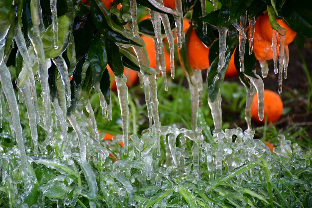 &Pi;&omicron;&rho;ί&sigma;&mu;&alpha;&tau;&alpha; &Epsilon;&Lambda;&Gamma;&Alpha; &gamma;&iota;&alpha; &tau;&omicron;&nu; &pi;&epsilon;&rho;&sigma;&iota;&nu;ό &pi;&alpha;&gamma;&epsilon;&tau;ό &sigma;&tau;&omicron;&nu; &Lambda;&epsilon;ή&mu;&omicron;&nu;&alpha;