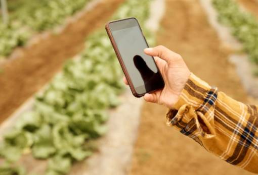 5 νέες υπηρεσίες για την αγροτική επιχειρηματικότητα στο gov.gr