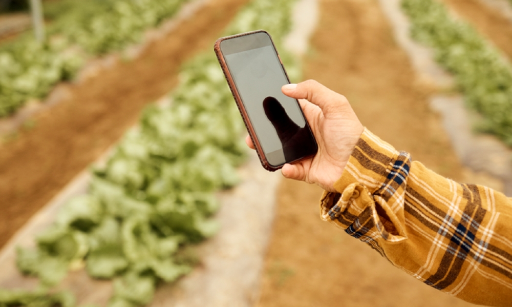 5 &nu;έ&epsilon;&sigmaf; &upsilon;&pi;&eta;&rho;&epsilon;&sigma;ί&epsilon;&sigmaf; &gamma;&iota;&alpha; &tau;&eta;&nu; &alpha;&gamma;&rho;&omicron;&tau;&iota;&kappa;ή &epsilon;&pi;&iota;&chi;&epsilon;&iota;&rho;&eta;&mu;&alpha;&tau;&iota;&kappa;ό&tau;&eta;&tau;&alpha; &sigma;&tau;&omicron; gov.gr