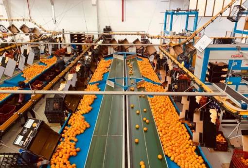 Λακωνικός συνεταιρισμός έλαβε εκατομμύρια από τον ΟΠΕΚΕΠΕ προτού «βουλιάξει»