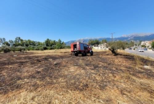 Φωτιά σε οικόπεδο πλησίον του Πανεπιστημίου στη Σπάρτη