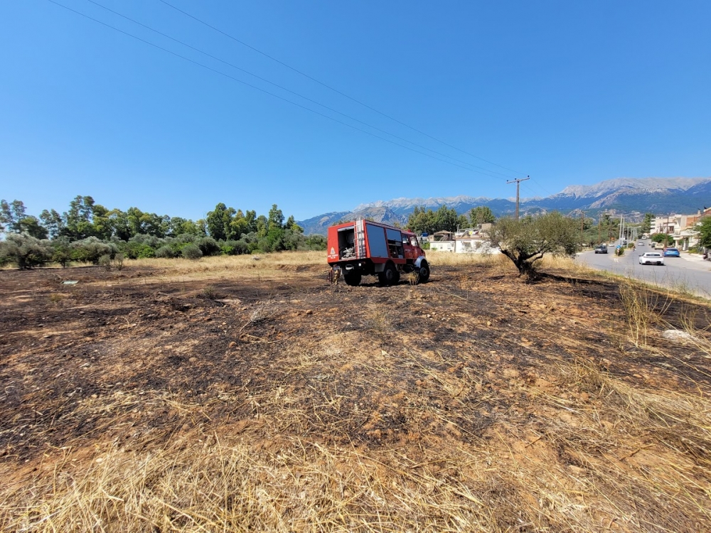 &Phi;&omega;&tau;&iota;ά &sigma;&epsilon; &omicron;&iota;&kappa;ό&pi;&epsilon;&delta;&omicron; &pi;&lambda;&eta;&sigma;ί&omicron;&nu; &tau;&omicron;&upsilon; &Pi;&alpha;&nu;&epsilon;&pi;&iota;&sigma;&tau;&eta;&mu;ί&omicron;&upsilon; &sigma;&tau;&eta; &Sigma;&pi;ά&rho;&tau;&eta;