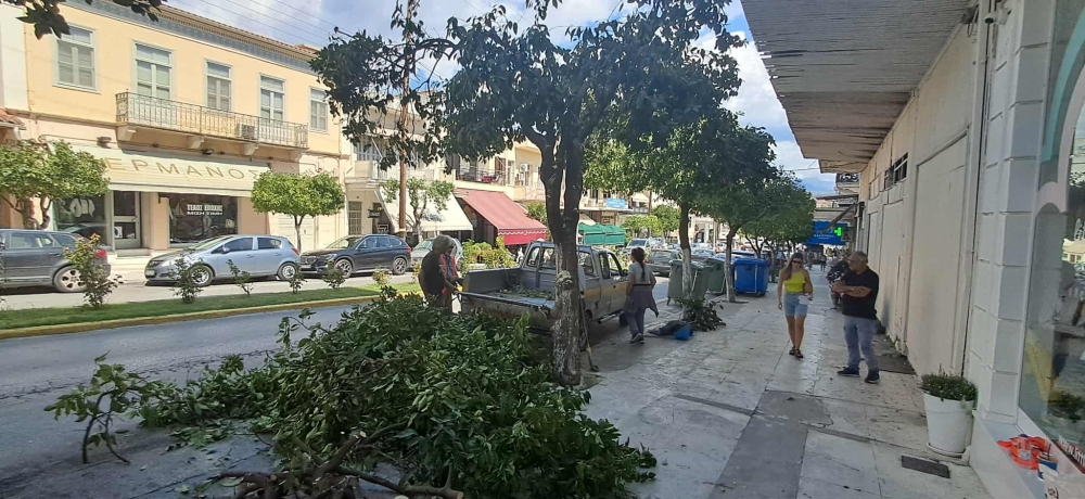 &Kappa;&lambda;&alpha;&delta;&epsilon;ύ&omicron;&nu;&tau;&alpha;&iota; &kappa;&alpha;&iota; &gamma;ί&nu;&omicron;&nu;&tau;&alpha;&iota; &laquo;&omicron;&mu;&omicron;&iota;ό&mu;&omicron;&rho;&phi;&epsilon;&sigmaf;&raquo; &omicron;&iota; &nu;&epsilon;&rho;&alpha;&nu;&tau;&zeta;&iota;έ&sigmaf; &tau;&eta;&sigmaf; &Sigma;&pi;ά&rho;&tau;&eta;&sigmaf;