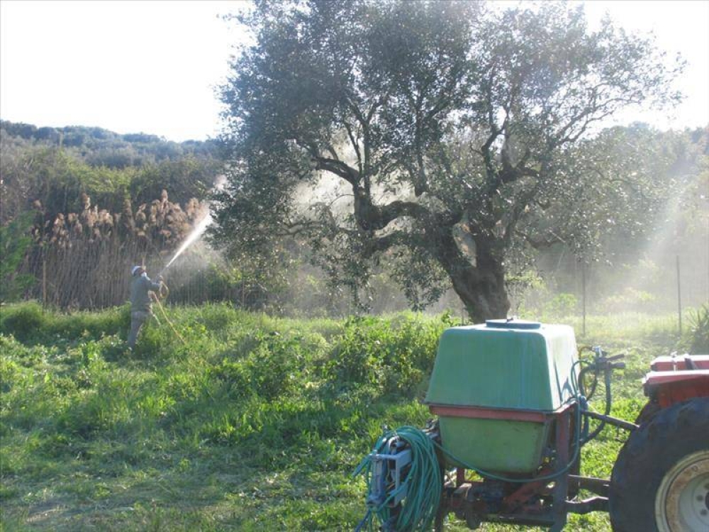 &Nu;&iota;&kappa;&omicron;&lambda;ά&kappa;&omicron;&upsilon; &gamma;&iota;&alpha; &laquo;&alpha;&pi;&omicron;&tau;&epsilon;&lambda;&epsilon;&sigma;&mu;&alpha;&tau;&iota;&kappa;ό&tau;&eta;&tau;&alpha;&raquo; &pi;&rho;&omicron;&gamma;&rho;ά&mu;&mu;&alpha;&tau;&omicron;&sigmaf; &delta;&alpha;&kappa;&omicron;&kappa;&tau;&omicron;&nu;ί&alpha;&sigmaf; &sigma;&epsilon; &Lambda;&alpha;&kappa;&omega;&nu;ί&alpha;-&Mu;&epsilon;&sigma;&sigma;&eta;&nu;ί&alpha;