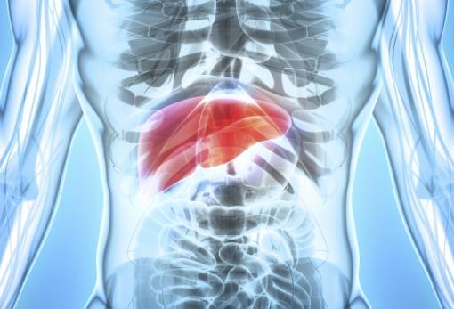 Μη αλκοολική λιπώδης νόσος του ήπατος (NAFLD: Nonalcoholic Fatty Liver Disease)