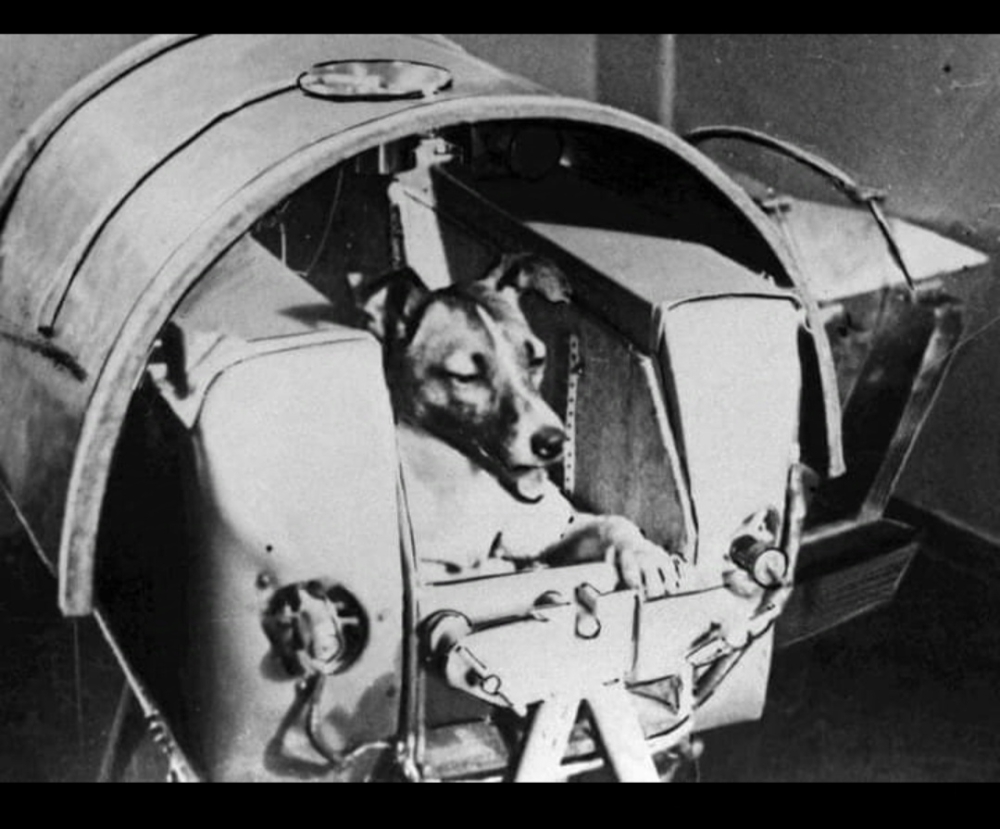 &Chi;&nu;&omicron;&upsilon;&delta;&omega;&tau;έ&sigmaf; &delta;&iota;&alpha;&delta;&rho;&omicron;&mu;έ&sigmaf;: &Eta; Laika &epsilon;&kappa;&tau;&omicron;&xi;&epsilon;ύ&tau;&eta;&kappa;&epsilon; &sigma;&tau;&omicron; &delta;&iota;ά&sigma;&tau;&eta;&mu;&alpha;