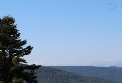 «Το δικό σου δέντρο φτάνει ως τον ουρανό;»