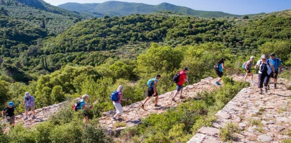 &laquo;&Nu;έ&alpha; &Pi;&epsilon;&lambda;&omicron;&pi;ό&nu;&nu;&eta;&sigma;&omicron;&sigmaf;&raquo; &gamma;&iota;&alpha; &delta;ί&kappa;&tau;&upsilon;&omicron; &mu;&omicron;&nu;&omicron;&pi;&alpha;&tau;&iota;ώ&nu;: &laquo;&Omicron; &Pi;. &Tau;&alpha;&tau;&omicron;ύ&lambda;&eta;&sigmaf; ά&nu;&omicron;&iota;&xi;&epsilon; &tau;&omicron;&nu; &delta;&rho;ό&mu;&omicron; &gamma;&iota;&alpha; &tau;&omicron;&nu; &epsilon;&nu;&alpha;&lambda;&lambda;&alpha;&kappa;&tau;&iota;&kappa;ό &tau;&omicron;&upsilon;&rho;&iota;&sigma;&mu;ό&raquo;