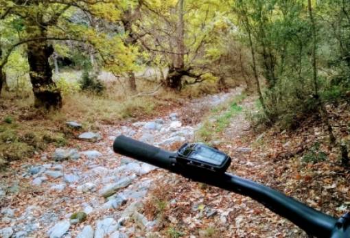Πεζοπορία και ποδηλασία στα μονοπάτια της Βαμβακούς