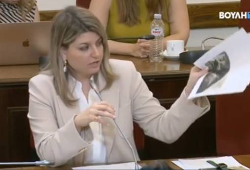 Νάγια Γρηγοράκου: «Από τις πυρκαγιές στις πλημμύρες η Λακωνία»