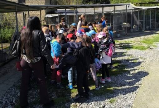 Τα αδέσποτα στη Σπάρτη μάς χρειάζονται όλους