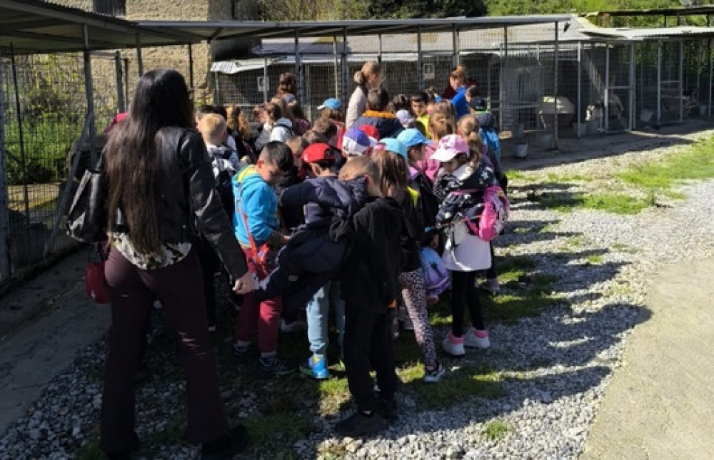 &Tau;&alpha; &alpha;&delta;έ&sigma;&pi;&omicron;&tau;&alpha; &sigma;&tau;&eta; &Sigma;&pi;ά&rho;&tau;&eta; &mu;ά&sigmaf; &chi;&rho;&epsilon;&iota;ά&zeta;&omicron;&nu;&tau;&alpha;&iota; ό&lambda;&omicron;&upsilon;&sigmaf;