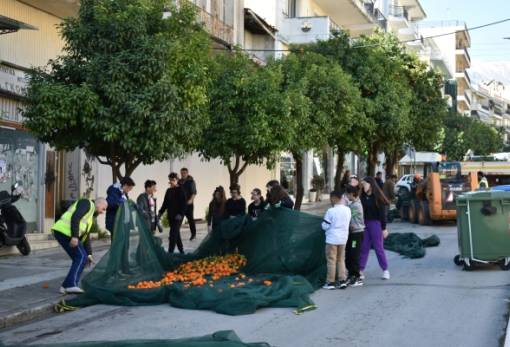 Τίναξε τις νεραντζιές το 1ο Γυμνάσιο Σπάρτης (Φωτο)