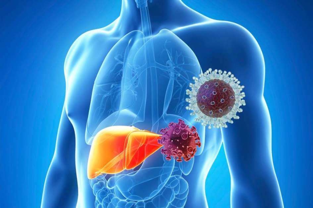 &Kappa;&alpha;&mu;&pi;&alpha;&nu;ά&kappa;&iota; &tau;&omicron;&upsilon; &Pi;&Omicron;&Upsilon; &gamma;&iota;&alpha; ά&mu;&epsilon;&sigma;&alpha; &mu;έ&tau;&rho;&alpha; &kappa;&alpha;&tau;ά &tau;&eta;&sigmaf; &eta;&pi;&alpha;&tau;ί&tau;&iota;&delta;&alpha;&sigmaf; &pi;&omicron;&upsilon; &pi;&rho;&omicron;&kappa;&alpha;&lambda;&epsilon;ί &chi;&iota;&lambda;&iota;ά&delta;&epsilon;&sigmaf; &theta;&alpha;&nu;ά&tau;&omicron;&upsilon;&sigmaf; &kappa;ά&theta;&epsilon; &eta;&mu;έ&rho;&alpha;