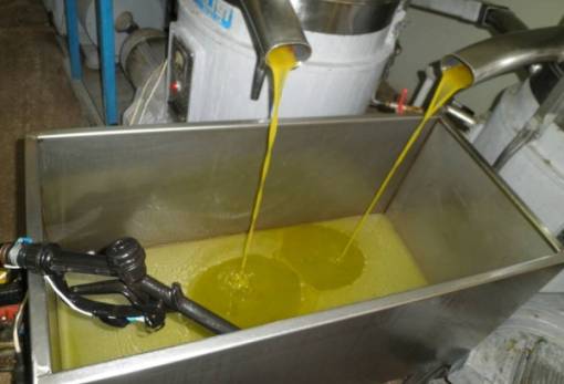 Ισπανία: Εκτιμήσεις για την παραγωγή ελαιολάδου 1,29 εκατ. τόνων