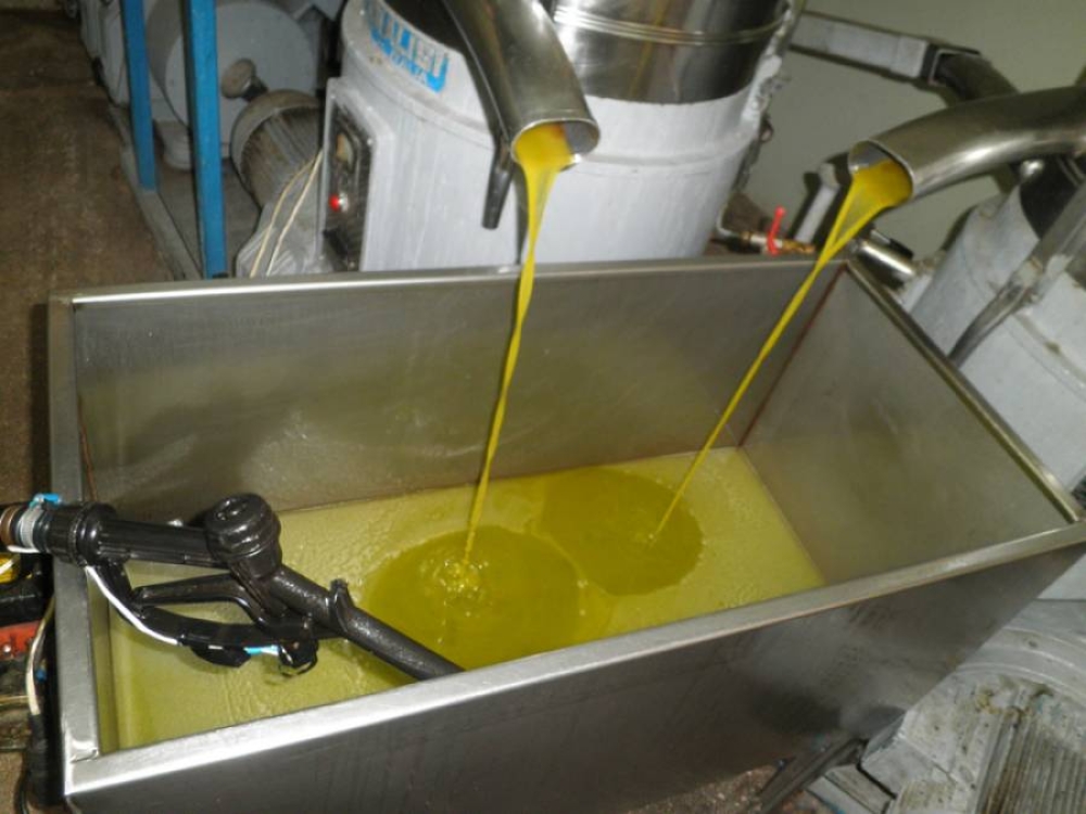 &Iota;&sigma;&pi;&alpha;&nu;ί&alpha;: &Epsilon;&kappa;&tau;&iota;&mu;ή&sigma;&epsilon;&iota;&sigmaf; &gamma;&iota;&alpha; &tau;&eta;&nu; &pi;&alpha;&rho;&alpha;&gamma;&omega;&gamma;ή &epsilon;&lambda;&alpha;&iota;&omicron;&lambda;ά&delta;&omicron;&upsilon; 1,29 &epsilon;&kappa;&alpha;&tau;. &tau;ό&nu;&omega;&nu;