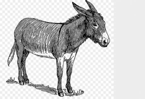 Ο πρωτομάστορας κι ο γάιδαρος