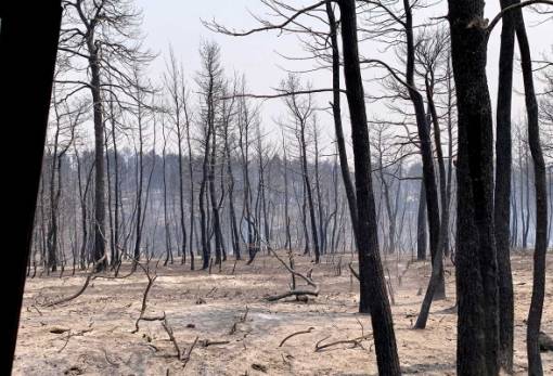 Πάνω από 650.000 καμένα στρέμματα μετρά η Ελλάδα