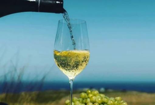 «Κερδίζει» τους τουρίστες το ελληνικό κρασί
