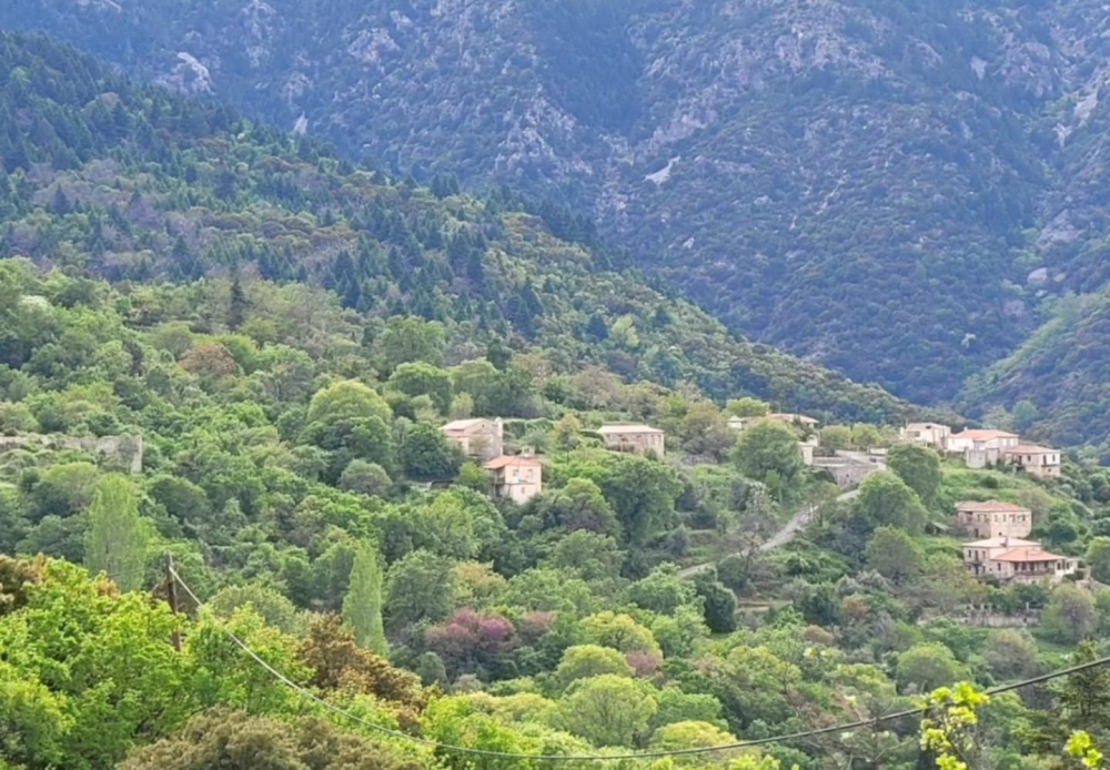 &Alpha;&gamma;&nu;&omicron;&epsilon;ί&tau;&alpha;&iota; &gamma;&upsilon;&nu;&alpha;ί&kappa;&alpha; &sigma;&tau;&omicron; &beta;&omicron;&upsilon;&nu;ό &pi;ά&nu;&omega; &alpha;&pi;ό &tau;&omicron;&nu; &Mu;&upsilon;&sigma;&tau;&rho;ά