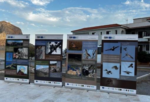 Ενημέρωσε και ευαισθητοποίησε  η Ευρωπαϊκή Γιορτή Πουλιών στη Λακωνία