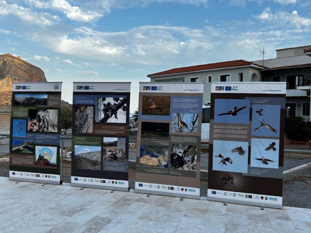 &Epsilon;&nu;&eta;&mu;έ&rho;&omega;&sigma;&epsilon; &kappa;&alpha;&iota; &epsilon;&upsilon;&alpha;&iota;&sigma;&theta;&eta;&tau;&omicron;&pi;&omicron;ί&eta;&sigma;&epsilon;  &eta; &Epsilon;&upsilon;&rho;&omega;&pi;&alpha;ϊ&kappa;ή &Gamma;&iota;&omicron;&rho;&tau;ή &Pi;&omicron;&upsilon;&lambda;&iota;ώ&nu; &sigma;&tau;&eta; &Lambda;&alpha;&kappa;&omega;&nu;ί&alpha;