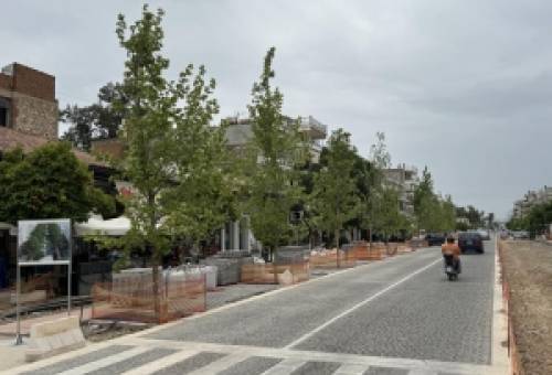 Τα παραμύθια της Παλαιολόγου: «Οι Κυβόλιθοι και τα Πλατάνια»