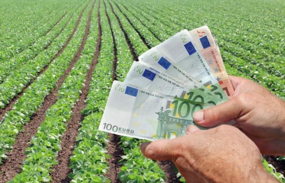 &Pi;&rho;&omicron;&kappa;&alpha;&tau;&alpha;&beta;&omicron;&lambda;έ&sigmaf; &alpha;&pi;&omicron;&zeta;&eta;&mu;&iota;ώ&sigma;&epsilon;&omega;&nu; &gamma;&iota;&alpha; &zeta;&eta;&mu;&iota;έ&sigmaf; 2025 &alpha;&pi;ό &Epsilon;&Lambda;.&Gamma;.&Alpha;.