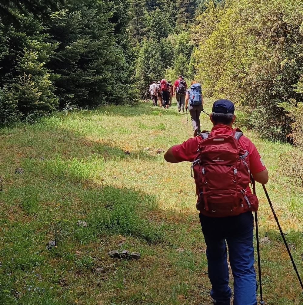&Sigma;&tau;&omicron;&nu; &Pi;ά&rho;&nu;&omega;&nu;&alpha; &mu;&epsilon; &pi;&epsilon;&rho;&iota;&beta;&alpha;&lambda;&lambda;&omicron;&nu;&tau;&iota;&kappa;ό &mu;ή&nu;&upsilon;&mu;&alpha; &omicron; &Epsilon;&Omicron;&Sigma; &Mu;&omicron;&lambda;ά&omega;&nu;-&Nu;&Alpha; &Lambda;&alpha;&kappa;&omega;&nu;ί&alpha;&sigmaf;
