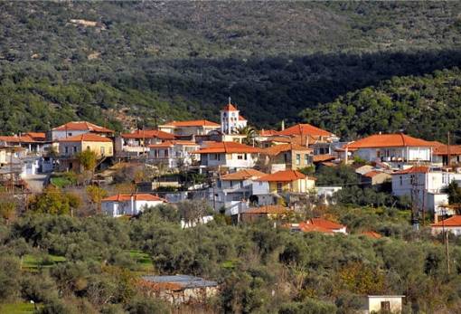 Παράσταση Καραγκιόζη και πανηγύρι στο Παρδάλι