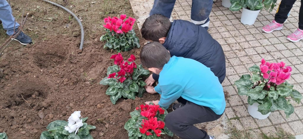 &Phi;ύ&tau;&epsilon;&psi;&alpha;&nu; &pi;&omicron;&lambda;ύ&chi;&rho;&omega;&mu;&eta; &laquo;&epsilon;&lambda;&pi;ί&delta;&alpha;&raquo; &omicron;&iota; &mu;&iota;&kappa;&rho;&omicron;ί &epsilon;&nu;&sigma;&alpha;&rho;&kappa;&omega;&tau;έ&sigmaf; &tau;&eta;&sigmaf; &sigma;&tau;&omicron; &Pi;ά&rho;&kappa;&omicron; &Gamma;&omicron;&upsilon;&delta;έ