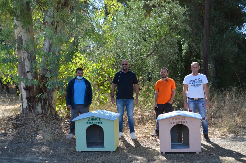 &Tau;&omicron;&pi;&omicron;&theta;&epsilon;&tau;ή&theta;&eta;&kappa;&alpha;&nu; &xi;ύ&lambda;&iota;&nu;&alpha; &sigma;&pi;&iota;&tau;ά&kappa;&iota;&alpha; &gamma;&iota;&alpha; &tau;&alpha; &alpha;&delta;έ&sigma;&pi;&omicron;&tau;&alpha; &tau;&eta;&sigmaf; &Sigma;&pi;ά&rho;&tau;&eta;&sigmaf;