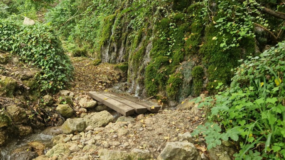 &Pi;&epsilon;&zeta;&omicron;&pi;&omicron;&rho;&iota;&kappa;ή &alpha;&pi;ό&delta;&rho;&alpha;&sigma;&eta; &sigma;&tau;&eta; &Sigma;&tau;&epsilon;&mu;&nu;ί&tau;&sigma;&alpha; &mu;&epsilon; &tau;&omicron;&nu; &Epsilon;&Omicron;&Sigma; &Sigma;&pi;ά&rho;&tau;&eta;&sigmaf;