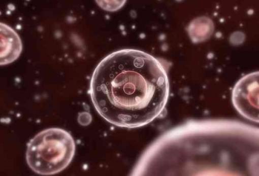 Πόσα κύτταρα υπάρχουν στο ανθρώπινο σώμα;