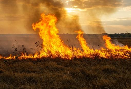 «Κίτρινη» προειδοποίηση για κίνδυνο πυρκαγιάς την Πέμπτη στη Λακωνία