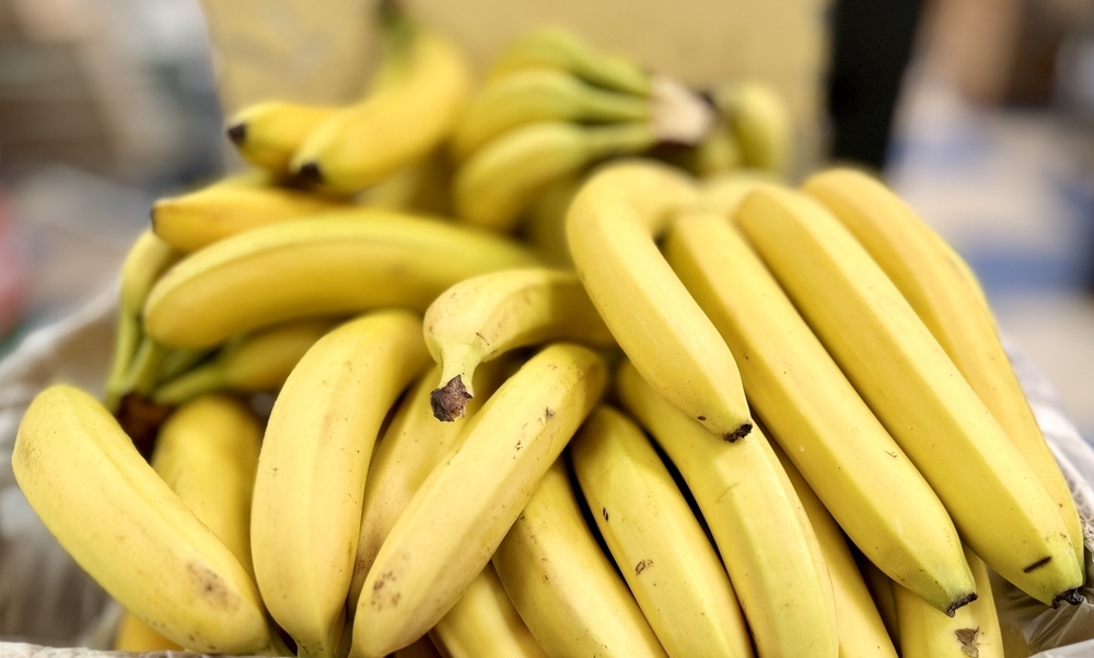 &Eta; &kappa;&lambda;&iota;&mu;&alpha;&tau;&iota;&kappa;ή &kappa;&rho;ί&sigma;&eta; &alpha;&pi;&epsilon;&iota;&lambda;&epsilon;ί &tau;&omicron; &pi;&iota;&omicron; &delta;&eta;&mu;&omicron;&phi;&iota;&lambda;έ&sigmaf; &phi;&rho;&omicron;ύ&tau;&omicron; &tau;&omicron;&upsilon; &kappa;ό&sigma;&mu;&omicron;&upsilon;