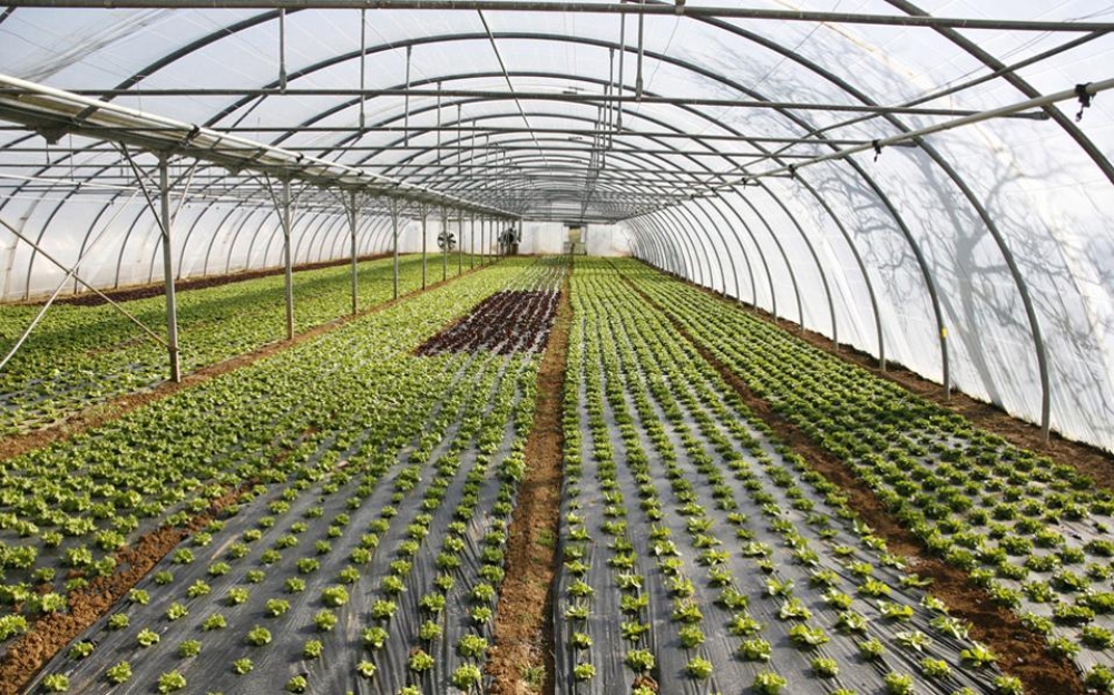 &Upsilon;&pi;&epsilon;&rho;&kappa;&alpha;&lambda;ύ&phi;&theta;&eta;&kappa;&epsilon; &omicron; &pi;&rho;&omicron;ϋ&pi;&omicron;&lambda;&omicron;&gamma;&iota;&sigma;&mu;ό&sigmaf; &tau;&eta;&sigmaf; &Pi;&alpha;&rho;έ&mu;&beta;&alpha;&sigma;&eta;&sigmaf; &gamma;&iota;&alpha; &tau;&alpha; &theta;&epsilon;&rho;&mu;&omicron;&kappa;ή&pi;&iota;&alpha;