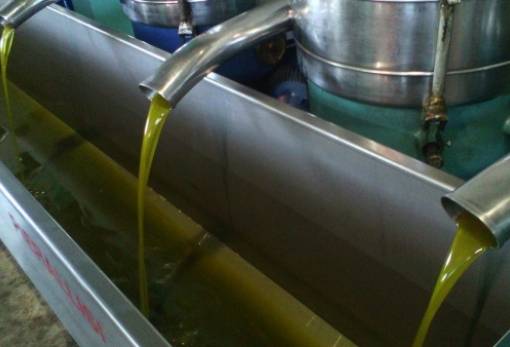 Πληρώνει 9 ευρώ στον παραγωγό ελαιοτριβείο στον Βλαχιώτη