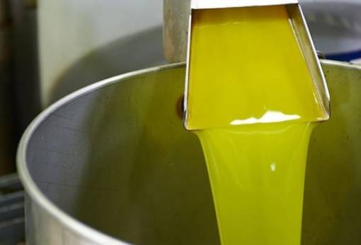 Στα 7,85€ «έφυγε» το αγουρέλαιο  στους Αγίους Αποστόλους