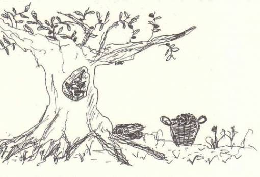 Ο καλλικάντζαρος και η ελιά