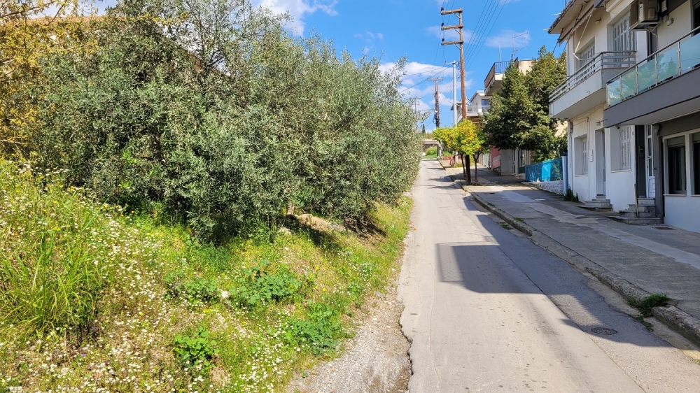 &Tau;&omicron; &sigma;&tau;&epsilon;&nu;ό &tau;&omicron;&upsilon; &lambda;ό&phi;&omicron;&upsilon; &tau;&eta;&sigmaf; &Theta;&epsilon;&rho;&mu;&omicron;&pi;&upsilon;&lambda;ώ&nu; έ&chi;&epsilon;&iota; &tau;&eta; &delta;&iota;&kappa;ή &tau;&omicron;&upsilon; &iota;&sigma;&tau;&omicron;&rho;ί&alpha;