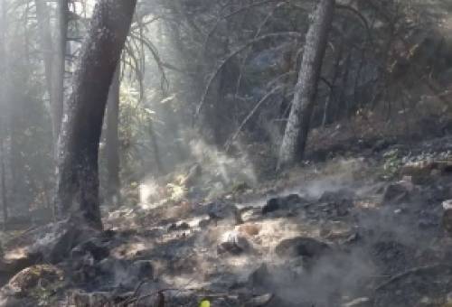 Σε ύφεση η φωτιά στον Ταΰγετο μετά από ολονύχτια μάχη