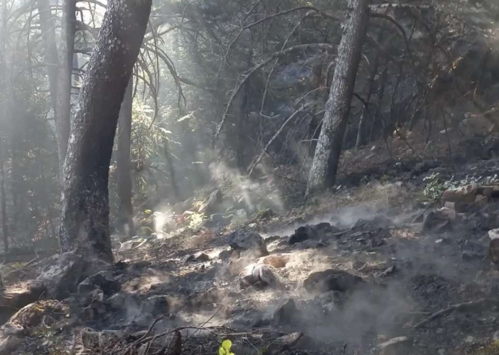 &Sigma;&epsilon; ύ&phi;&epsilon;&sigma;&eta; &eta; &phi;&omega;&tau;&iota;ά &sigma;&tau;&omicron;&nu; &Tau;&alpha;ΰ&gamma;&epsilon;&tau;&omicron; &mu;&epsilon;&tau;ά &alpha;&pi;ό &omicron;&lambda;&omicron;&nu;ύ&chi;&tau;&iota;&alpha; &mu;ά&chi;&eta;