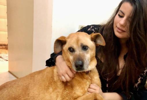 Στ. Σταματάκου: «Δεν έχω πρόθεση να πολιτευτώ με κανένα κόμμα»