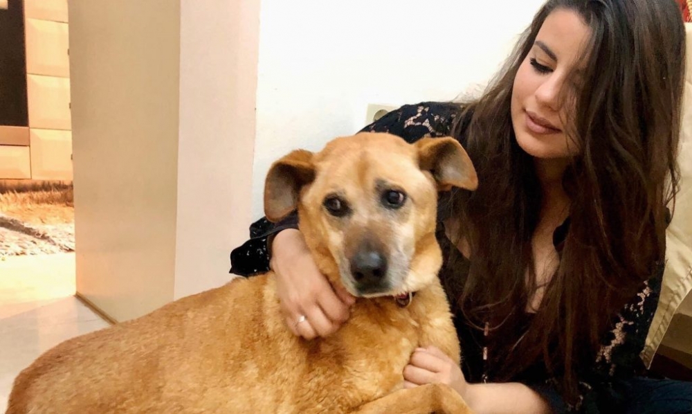 &Sigma;&tau;. &Sigma;&tau;&alpha;&mu;&alpha;&tau;ά&kappa;&omicron;&upsilon;: &laquo;&Delta;&epsilon;&nu; έ&chi;&omega; &pi;&rho;ό&theta;&epsilon;&sigma;&eta; &nu;&alpha; &pi;&omicron;&lambda;&iota;&tau;&epsilon;&upsilon;&tau;ώ &mu;&epsilon; &kappa;&alpha;&nu;έ&nu;&alpha; &kappa;ό&mu;&mu;&alpha;&raquo;