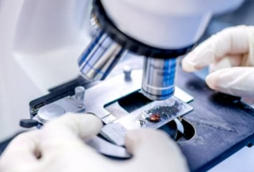 Συναγερμός για την εξάπλωση επικίνδυνου μύκητα στα νοσοκομεία